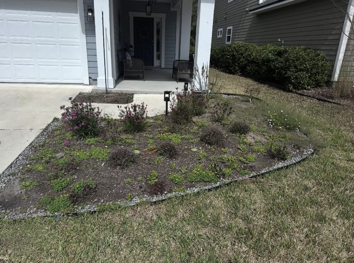 Image of front yard flower bed before Taylor came in with his crew to revive it.